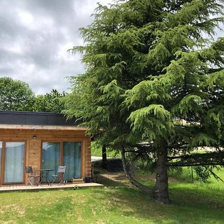 Studio-Mazot De Charme 26 M2 Parc Chartreuse Vimines Buitenkant foto